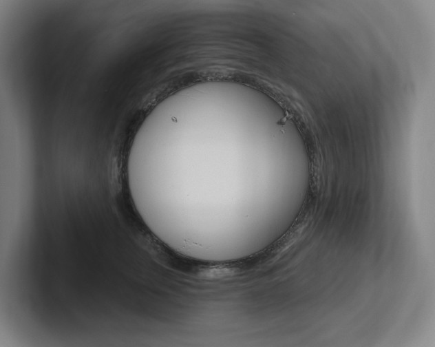 X0000102810759200808180953