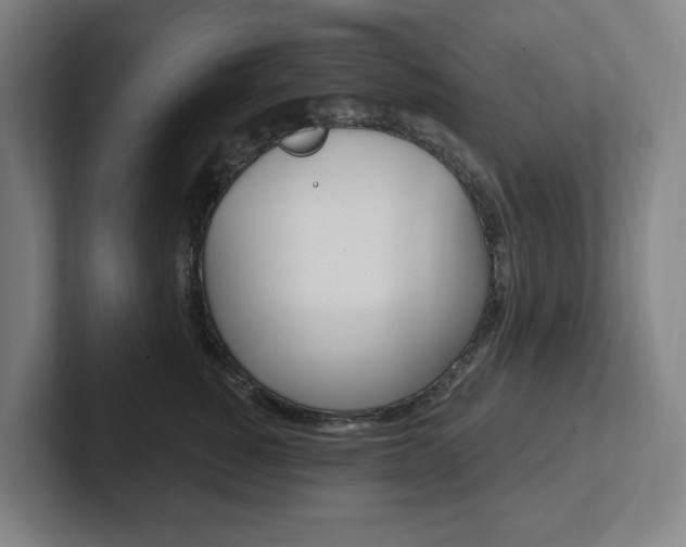 X0000102810760200808180953