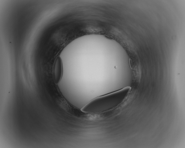 X0000102810762200808180953