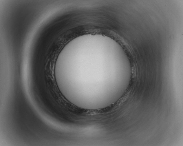 X0000102810764200808180953