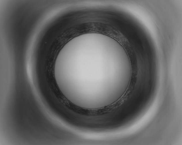 X0000102810766200808180953