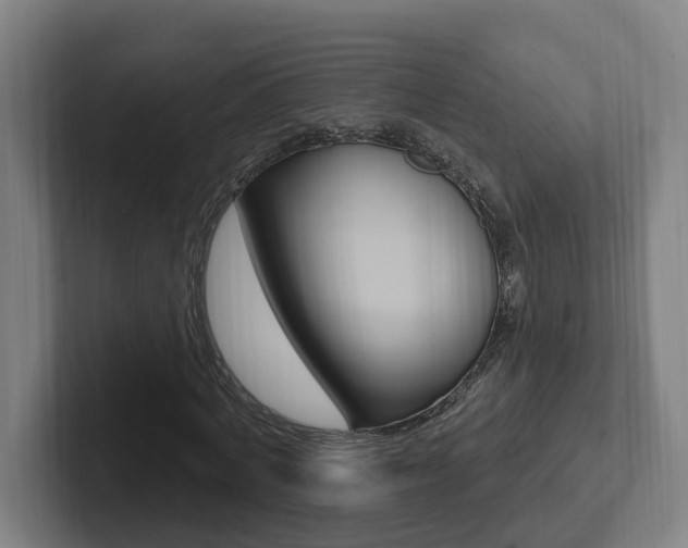 X0000102810772200808180952