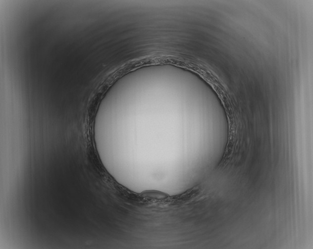 X0000102810773200808180952