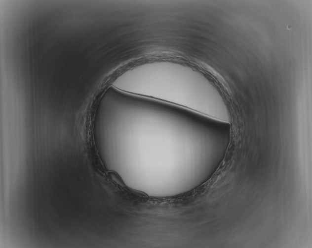 X0000102810775200808180952