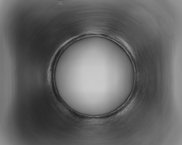 X0000102810779200808180952