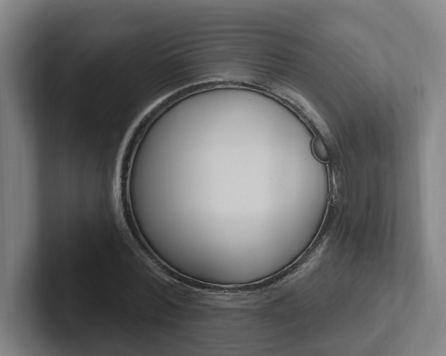 X0000102810780200808180952