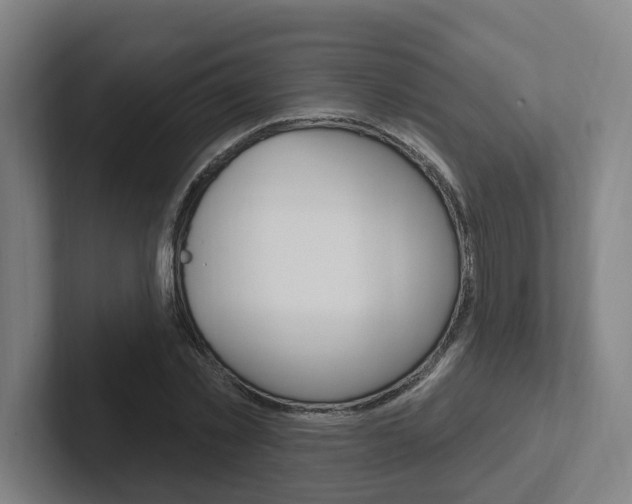 X0000102810781200808180952