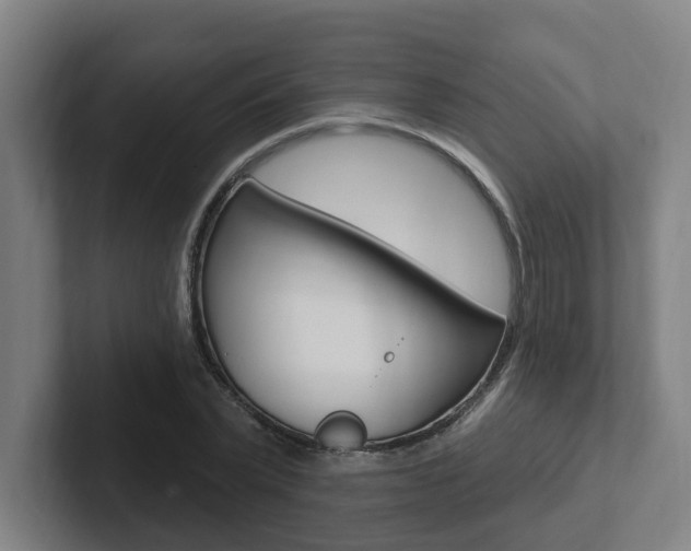 X0000102810783200808180952