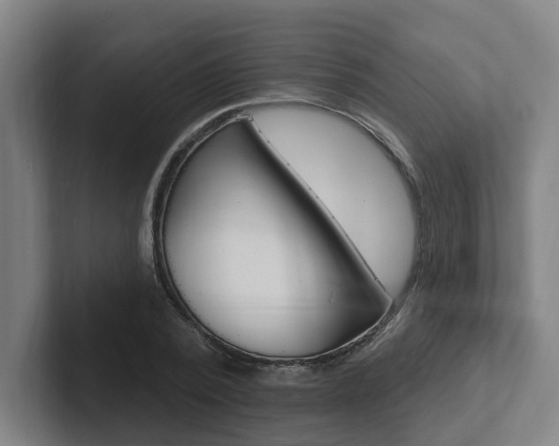 X0000102810784200808180952