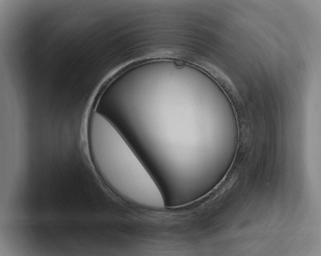 X0000102810792200808180952