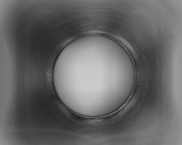 X0000102810793200808180952