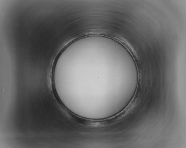 X0000102810794200808180952