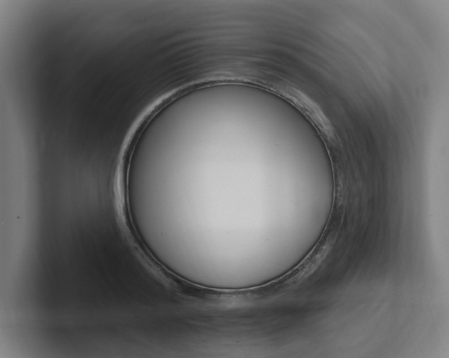 X0000102810796200808180952