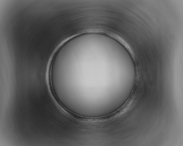 X0000102810803200808180952