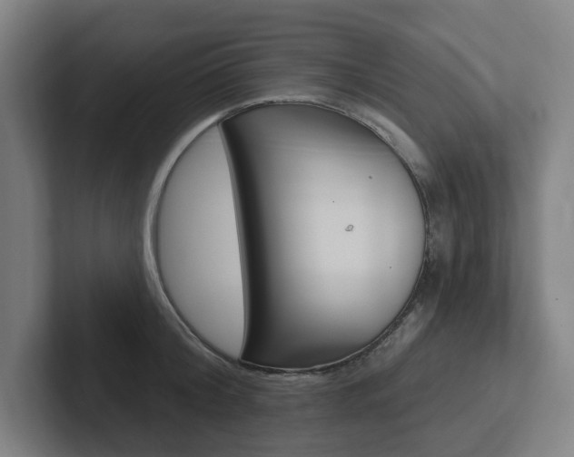 X0000102810804200808180952