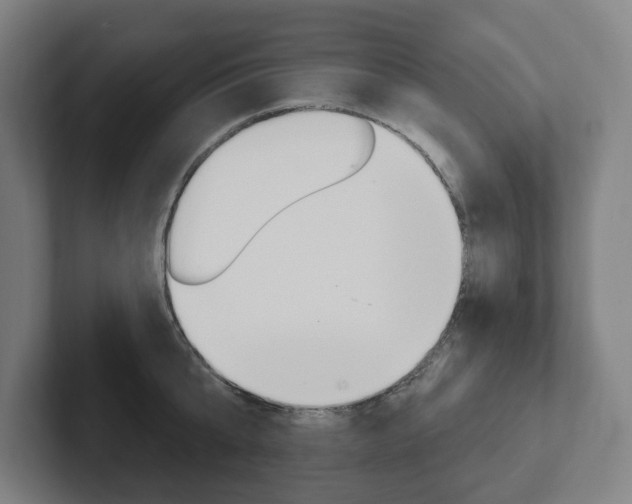 X0000102810807200808180952