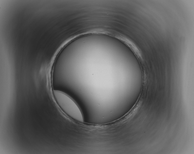 X0000102810808200808180952