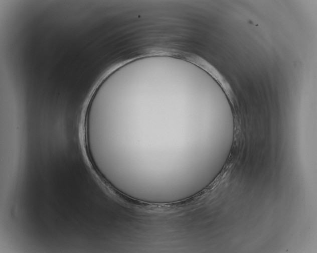 X0000102810811200808180952