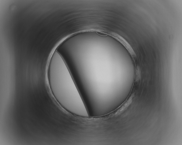 X0000102810812200808180951