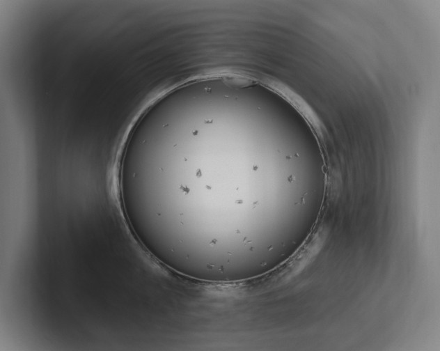 X0000102810813200808180951