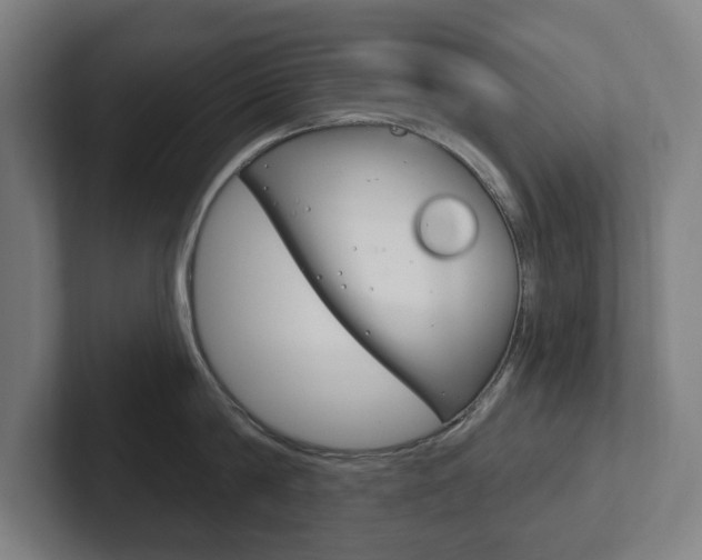 X0000102810814200808180951