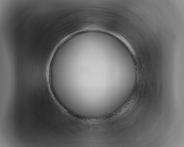 X0000102810815200808180951