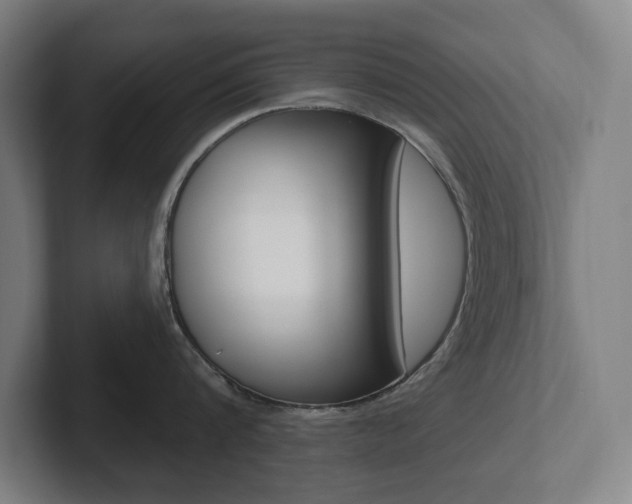 X0000102810816200808180951