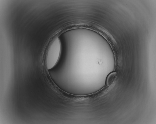 X0000102810826200808180951