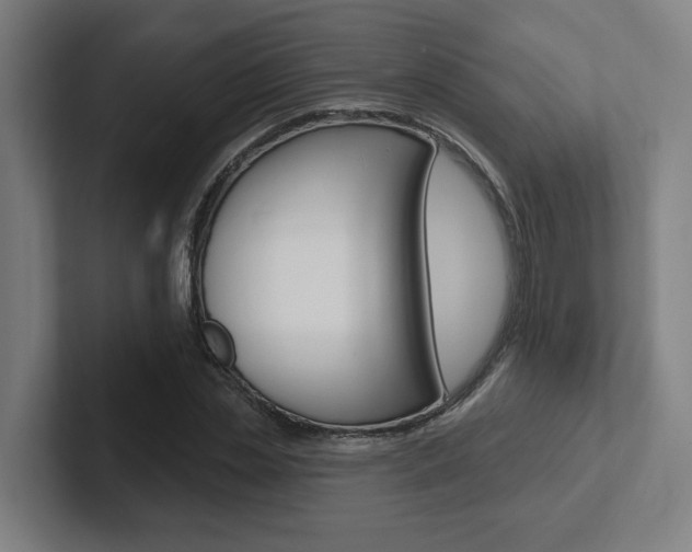 X0000102810829200808180951