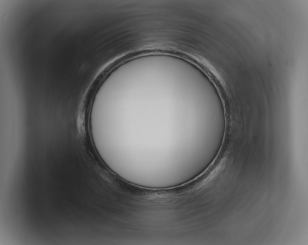 X0000102810830200808180951