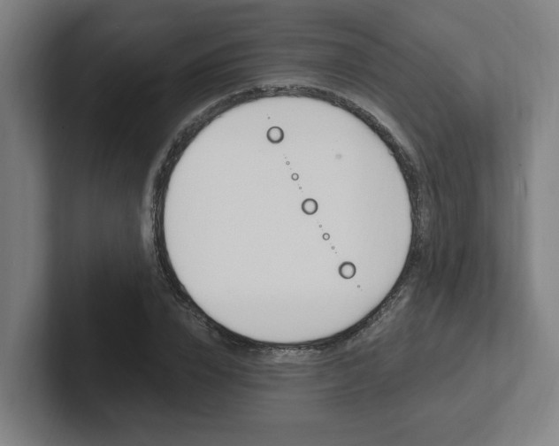 X0000102810832200808180951