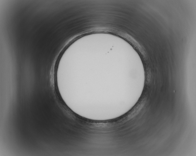 X0000102810836200808180951