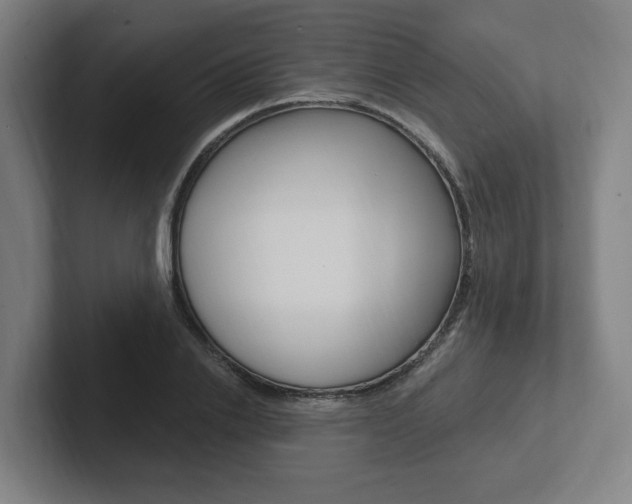 X0000102810838200808180951