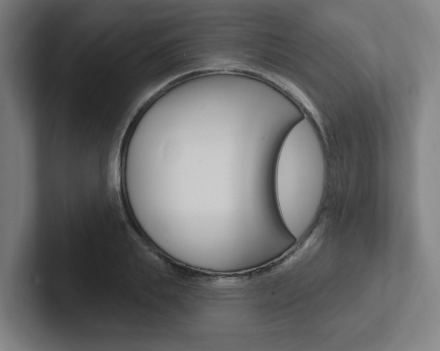 X0000102810839200808180951