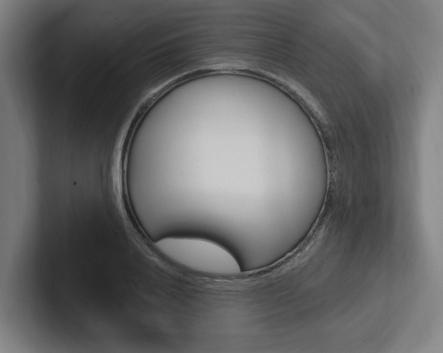 X0000102810840200808180951