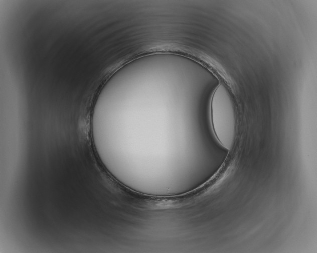 X0000102810841200808180951