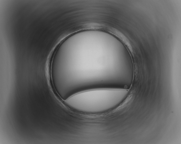 X0000102810843200808180951