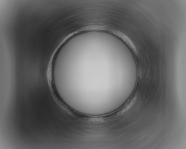 X0000102810844200808180951