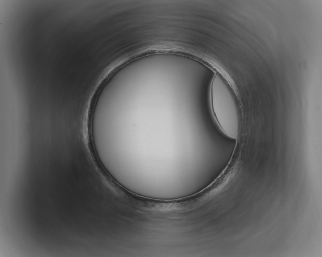 X0000102810845200808180951