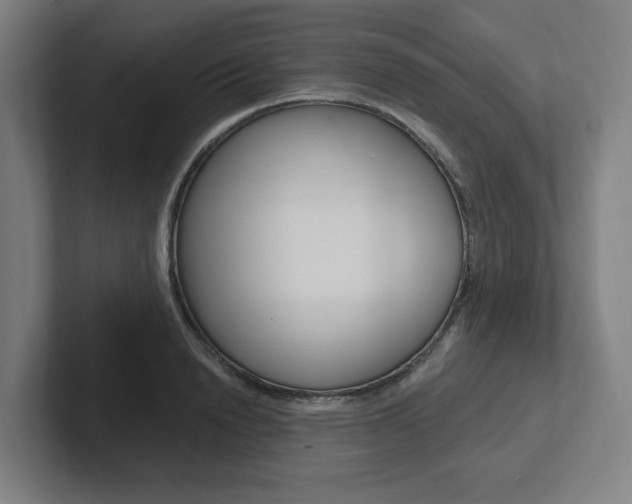 X0000102810846200808180951