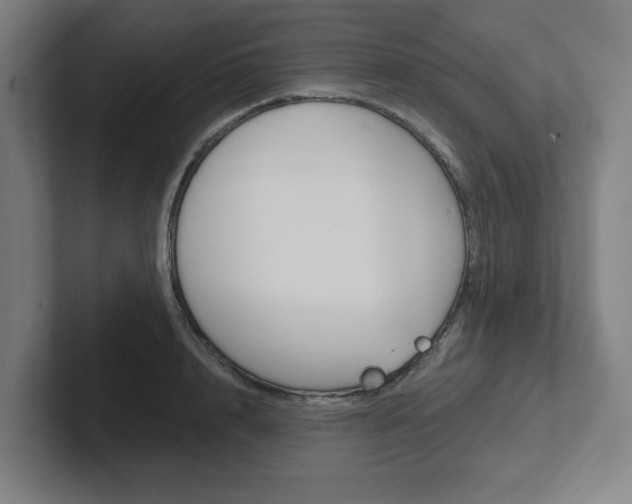 X0000102810848200808180951