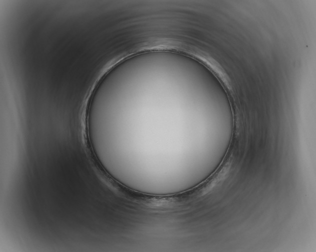 X0000102810850200808180951