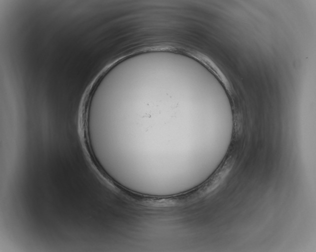 X0000102810851200808180951