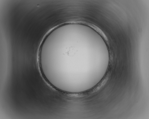 X0000102810855200808180951