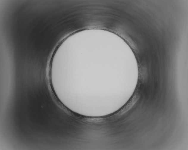 X0000102810856200808180951