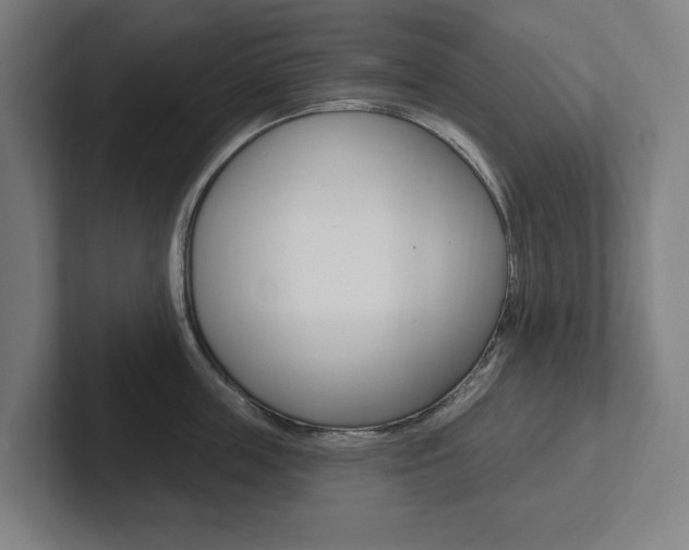 X0000102810859200808180951