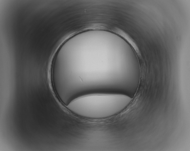 X0000102810861200808180951