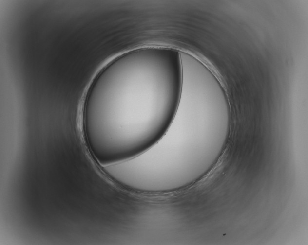 X0000102810862200808180951