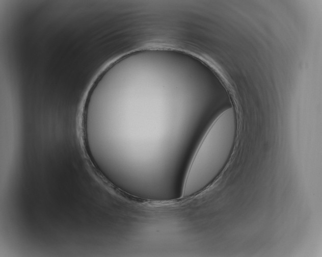 X0000102810864200808180951