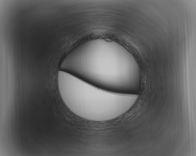 X0000102810868200808180951